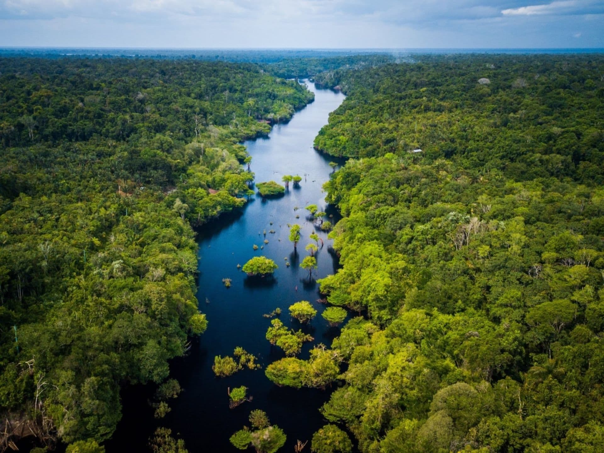 Reise in den Amazonas-Regenwald