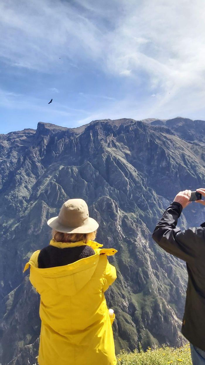 Condor Cruz del Condor 