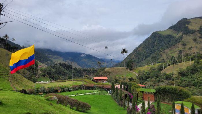 Valle del Cocora