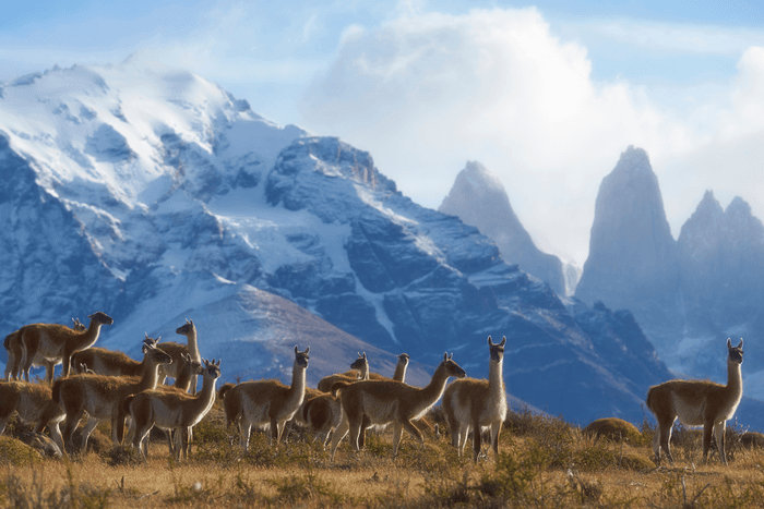 Torres del Paine