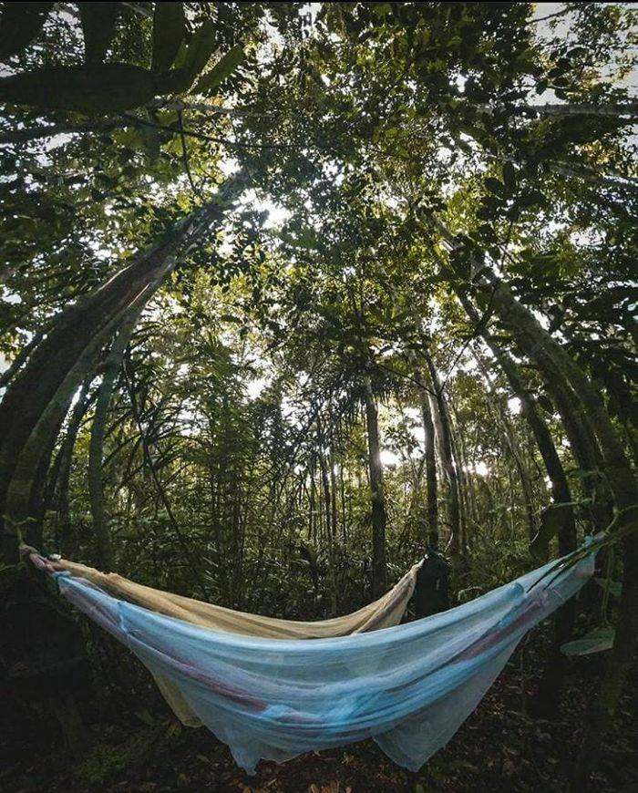 hammocks Tupana Lodge