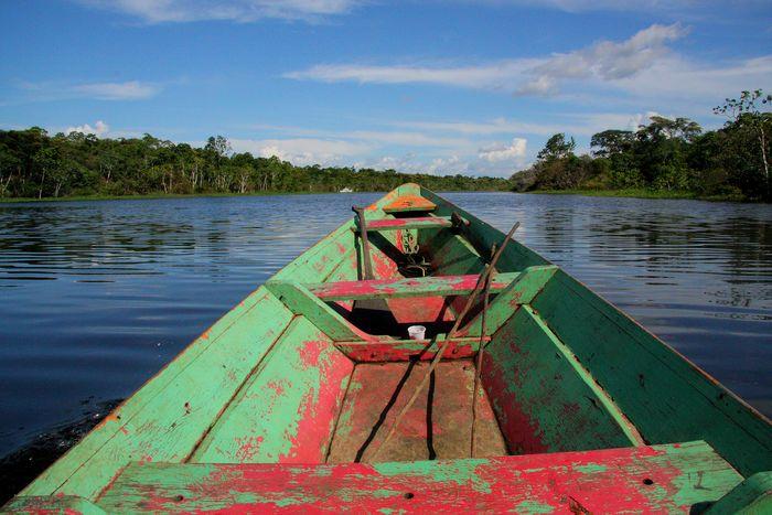 Amazon river