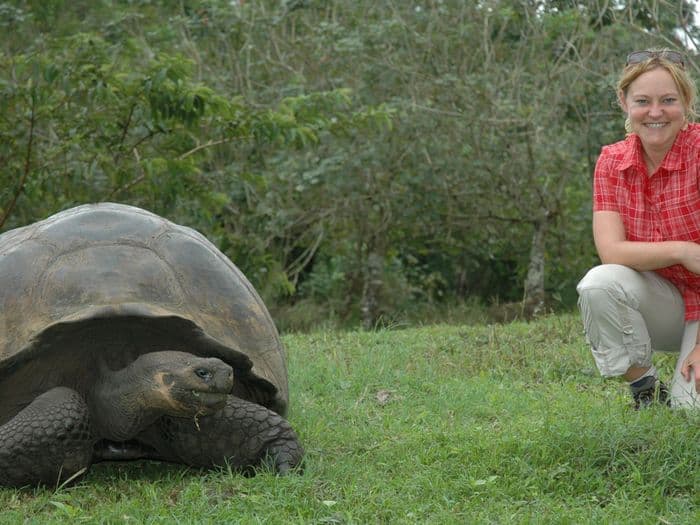 Encuentro Tortuga Galapagos