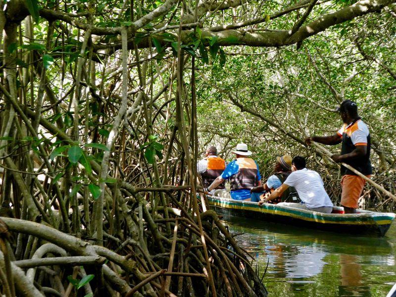 La Boquilla 3 Photo by krossbow on Foter com CC BY